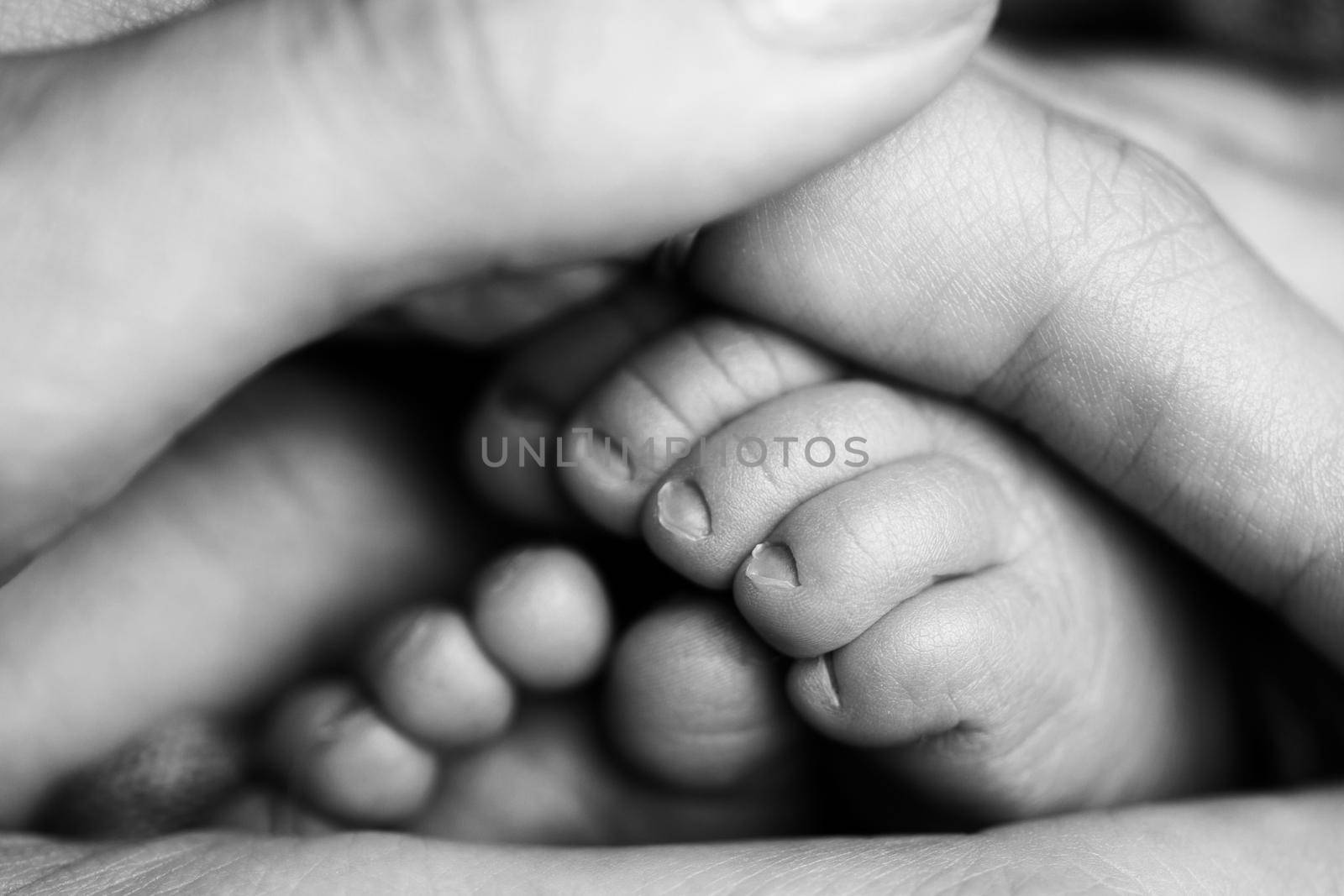 Children's feet in hold hands of mother and father on white. Mother, father and newborn Child. Happy Family people concept. Black and white. by Vad-Len