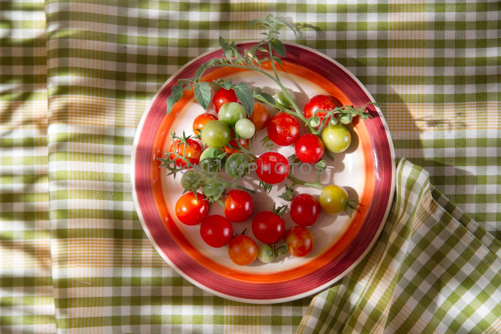 Fresh cherry tomatoes by fotografiche.eu