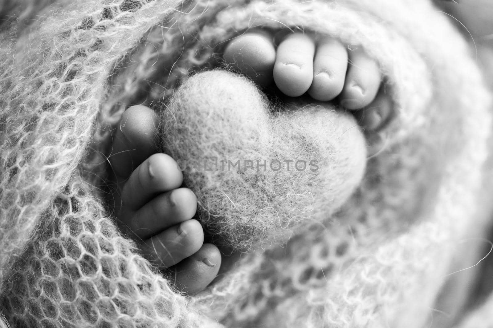 Feet of a newborn with a wooden heart, wrapped in a soft blanket. Black and white studio photography. by Vad-Len