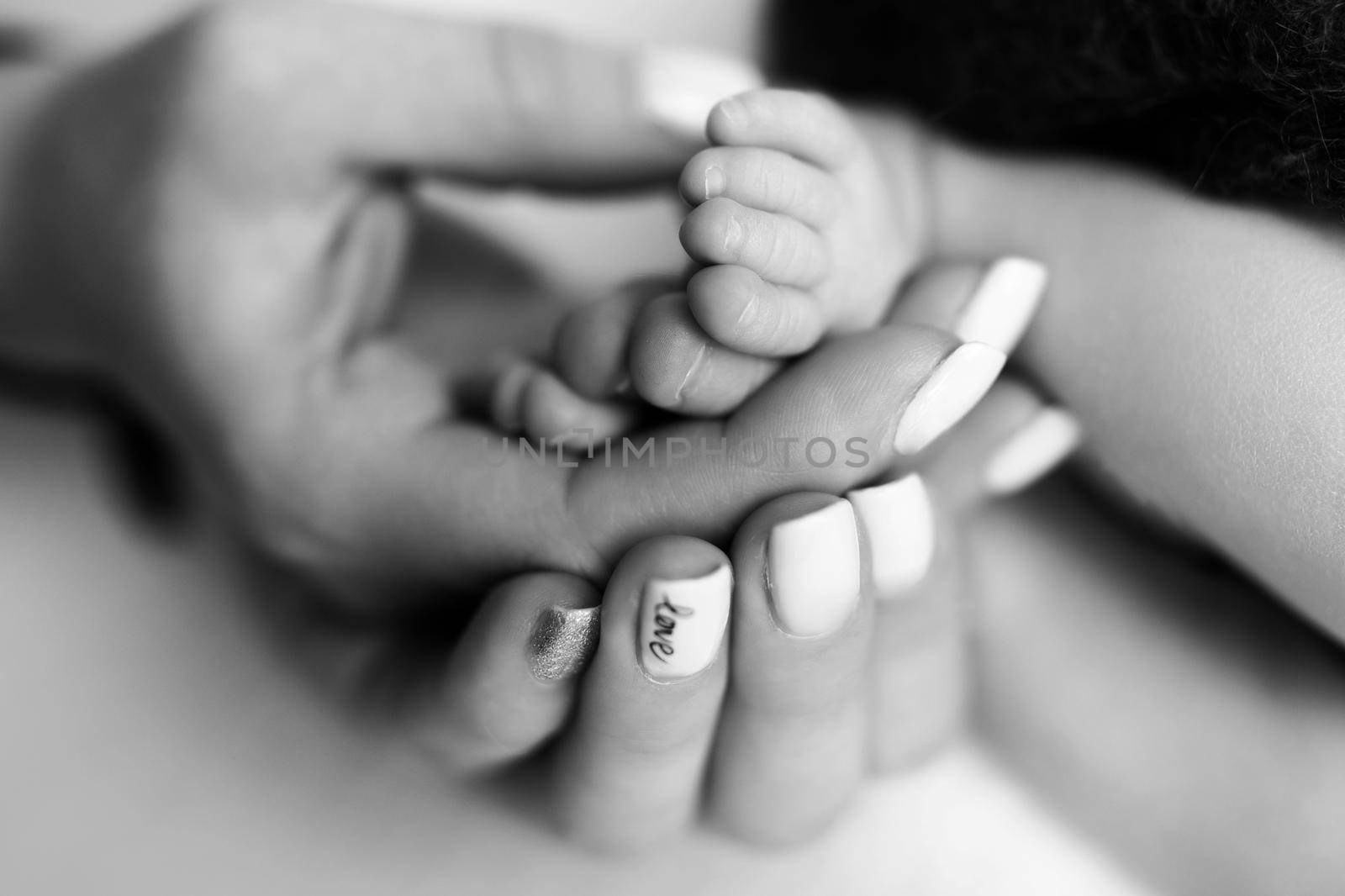 Children's feet in hold hands of mother and father on white. Mother, father and newborn Child. Happy Family people concept. Black and white. High quality photo