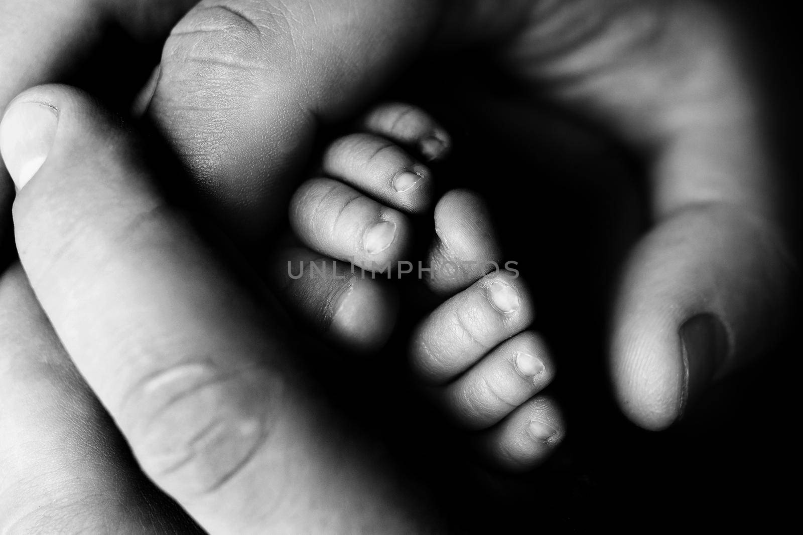 Children's feet in hold hands of mother and father on white. Mother, father and newborn Child. Happy Family people concept. Black and white. High quality photo