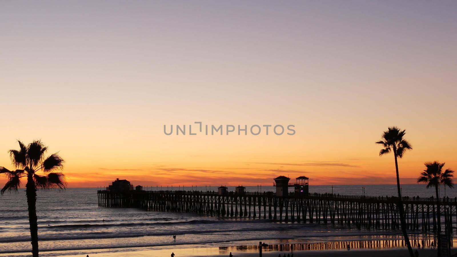 Palms silhouette on twilight sky, California USA, Oceanside pier. Dusk gloaming nightfall atmosphere. Tropical pacific ocean beach, sunset afterglow aesthetic. Dark black palm tree, Los Angeles vibes.