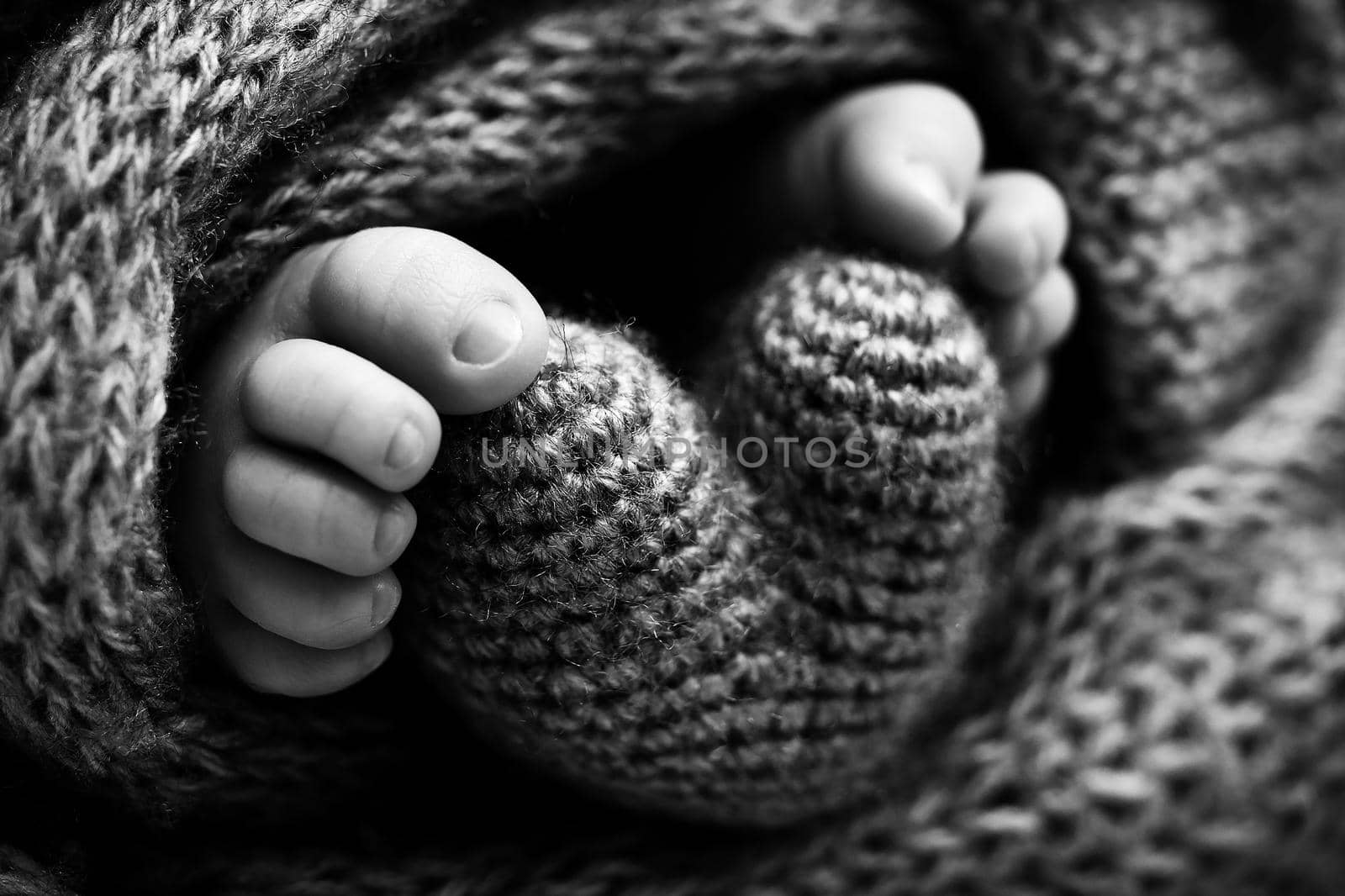 Photo of the legs of a newborn. Baby feet covered with wool isolated background. The tiny foot of a newborn in soft selective focus. Black and white image of the soles of the feet. High quality photo