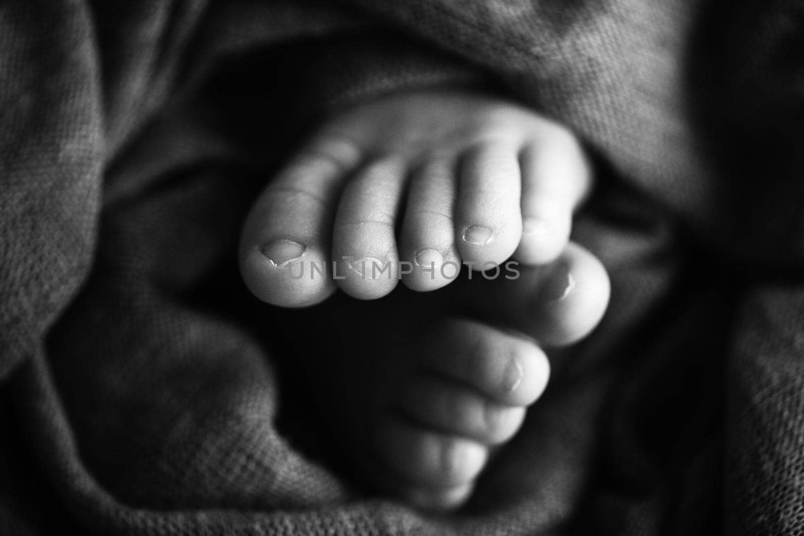 Photo of the legs of a newborn. Baby feet covered with wool isolated background. The tiny foot of a newborn in soft selective focus. Black and white image of the soles of the feet. High quality photo