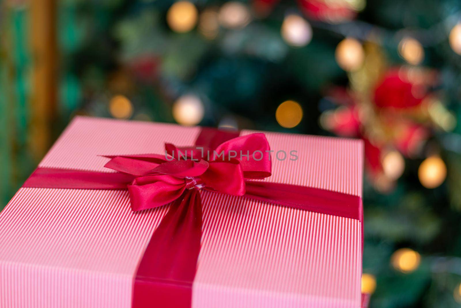 Close up wrapping gift box with christmas tree background