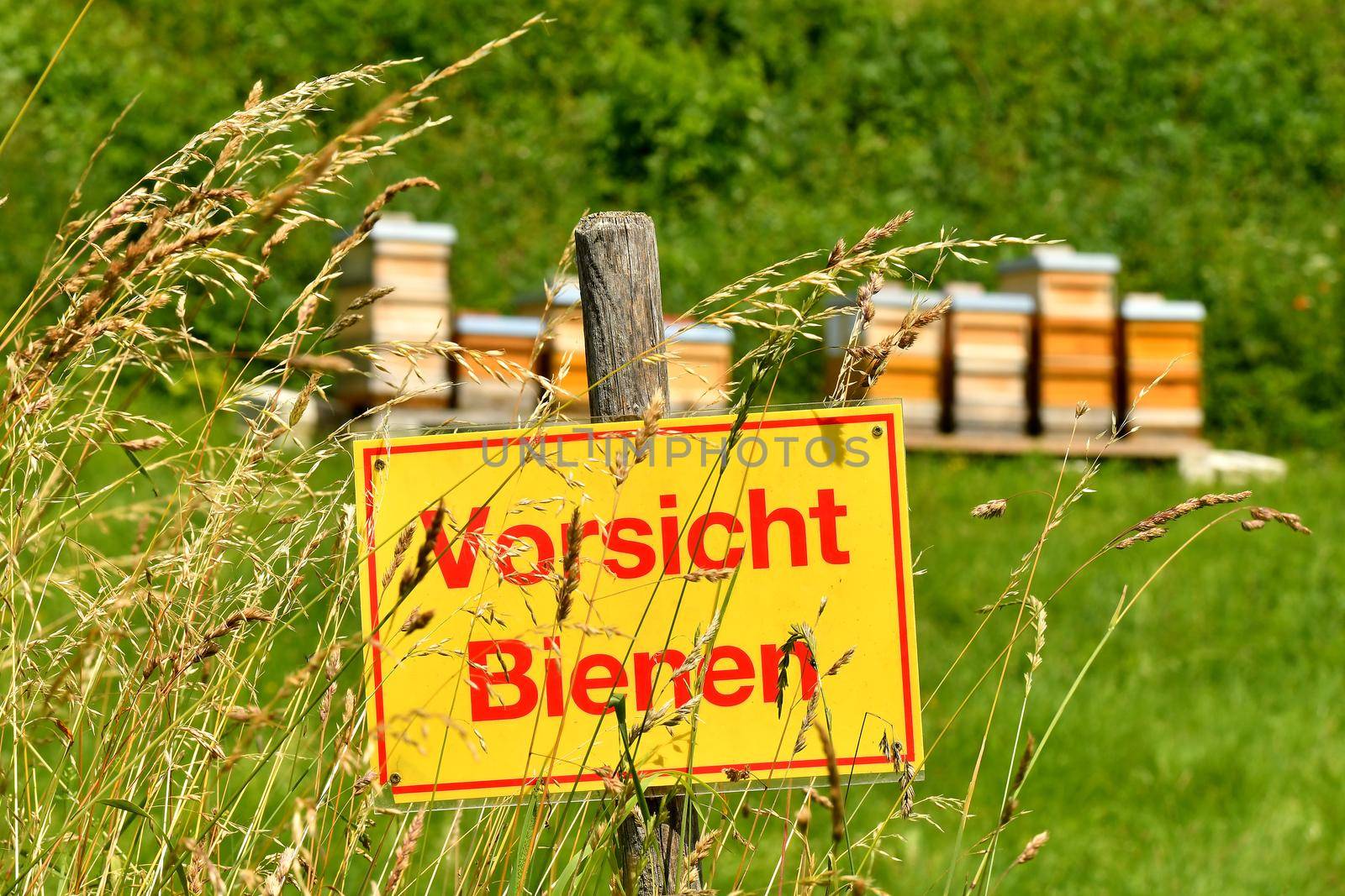 warning sign bees in a meadow