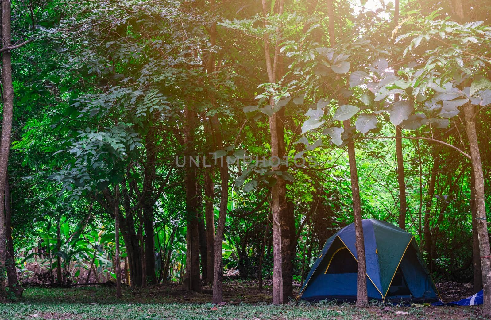 Camping and tent in nature park