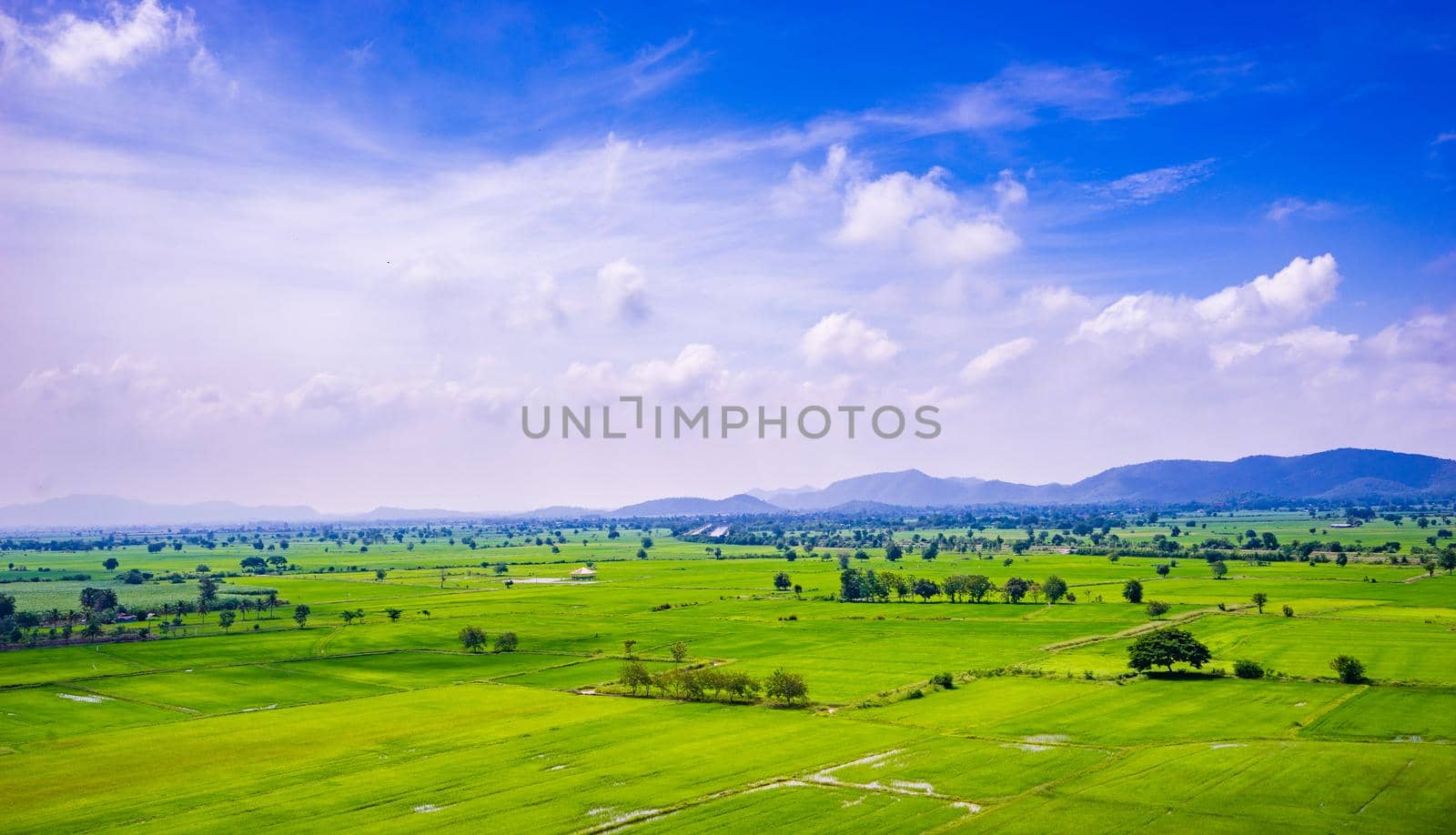 Green field and blue sky with mountain background by domonite