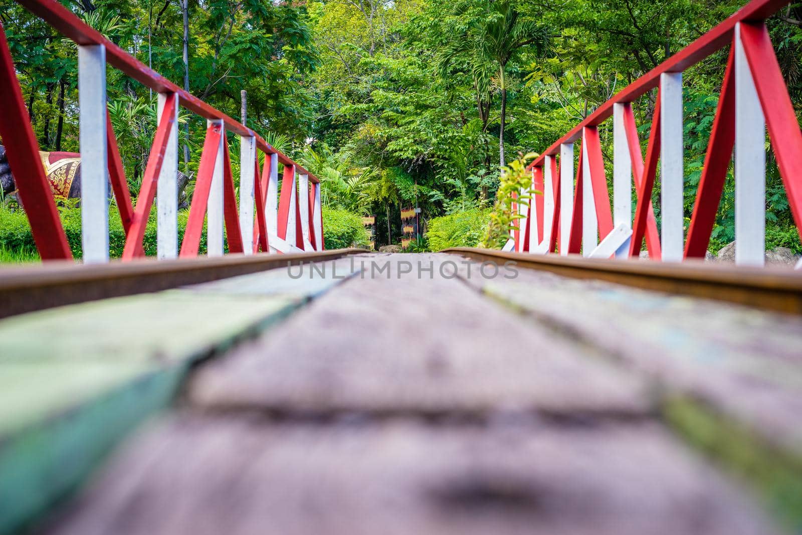 Railroad tracks through the park