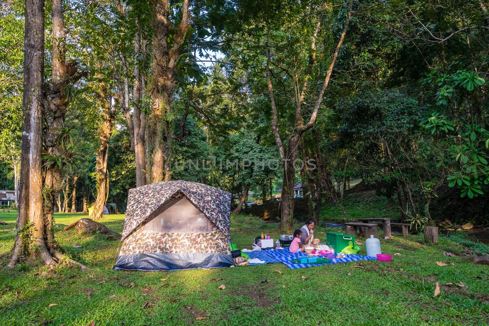 Family Camping in nature park by domonite