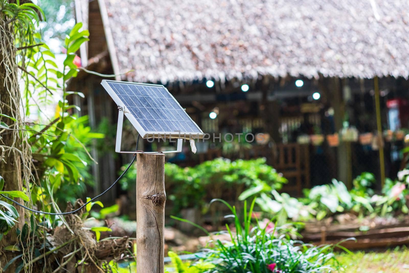 Solar panels near home, alternative electricity in countryside