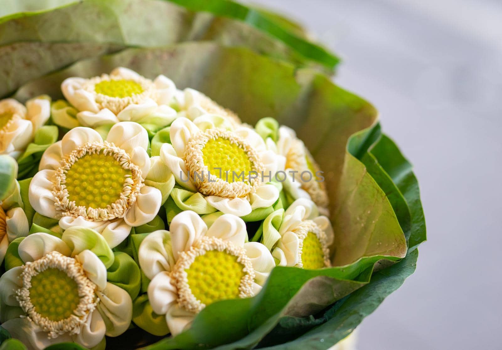 Close up of white lotus flower bouquet in the market