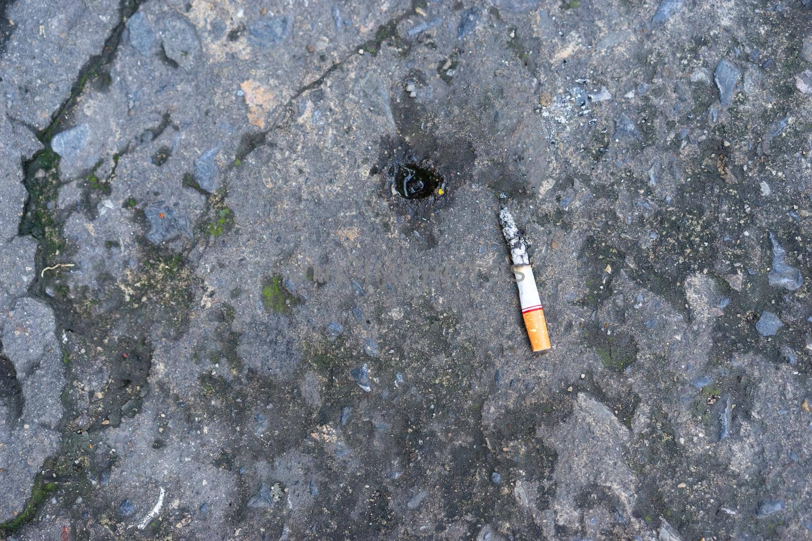 cigarette stub on the ground by domonite