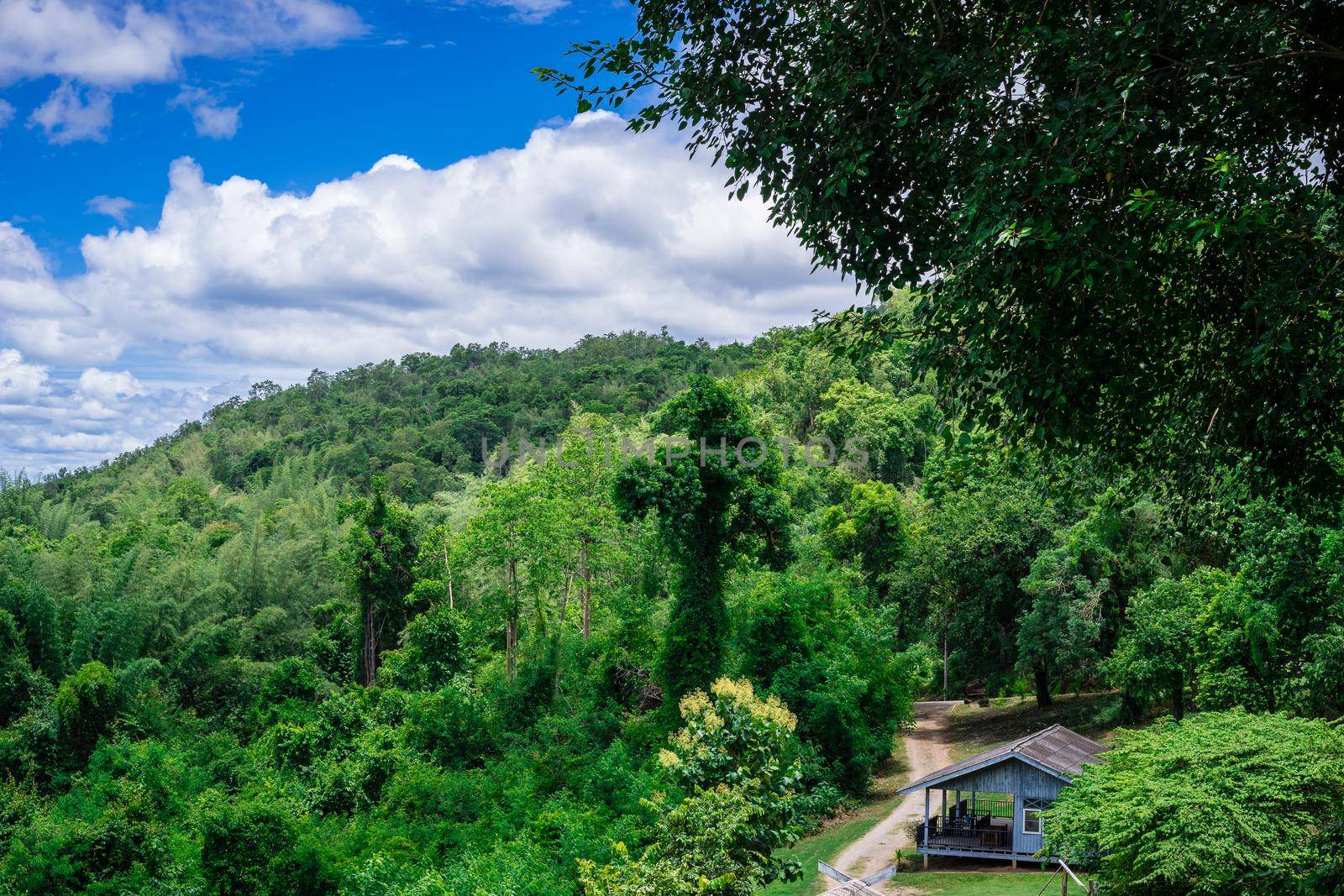 Wooden house in the jungle with cloudy sky, Thailand