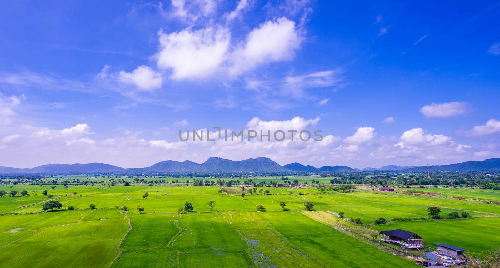 Green field and blue sky with mountain background by domonite