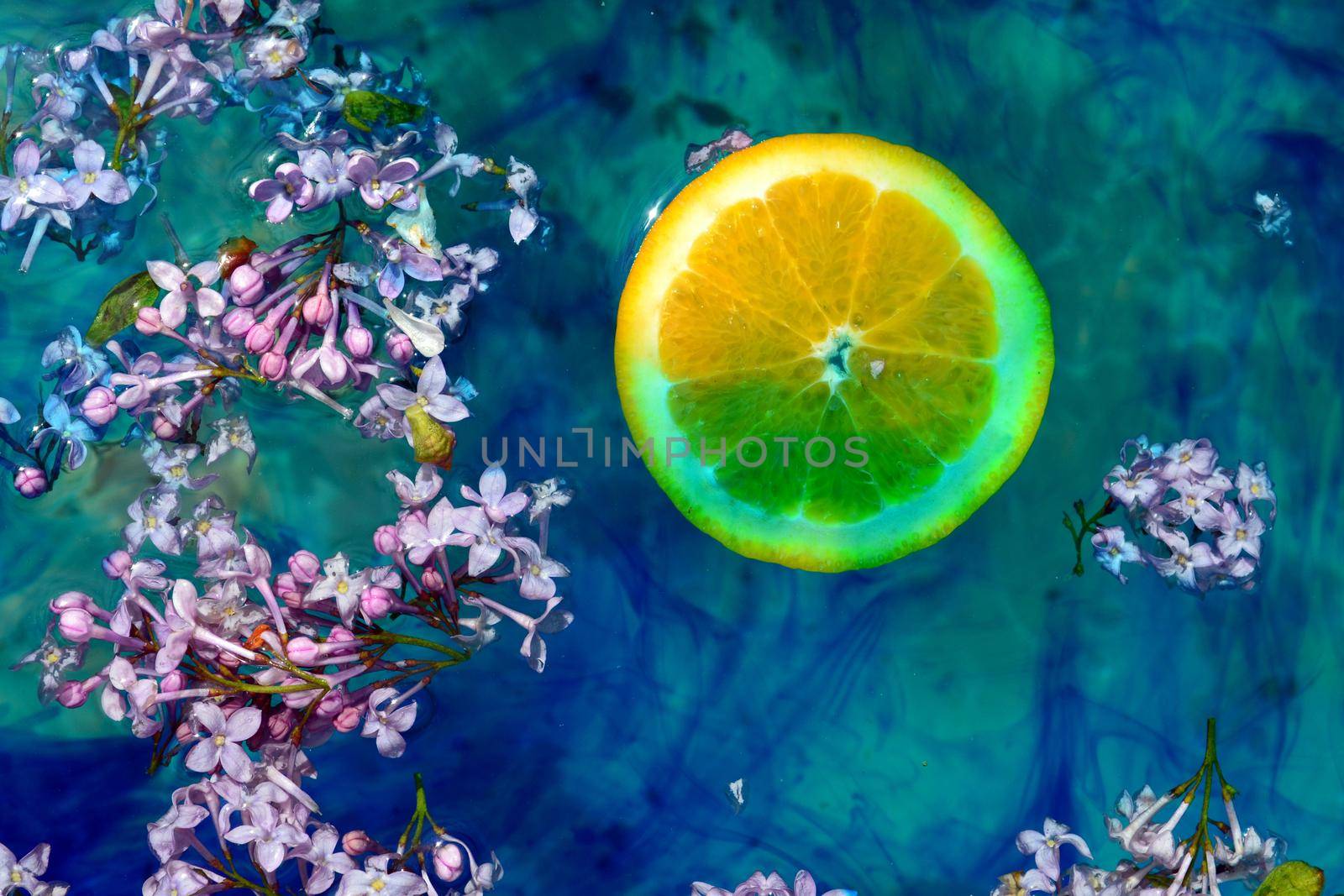 Lilac flowers and an orange slice floating on the blue water