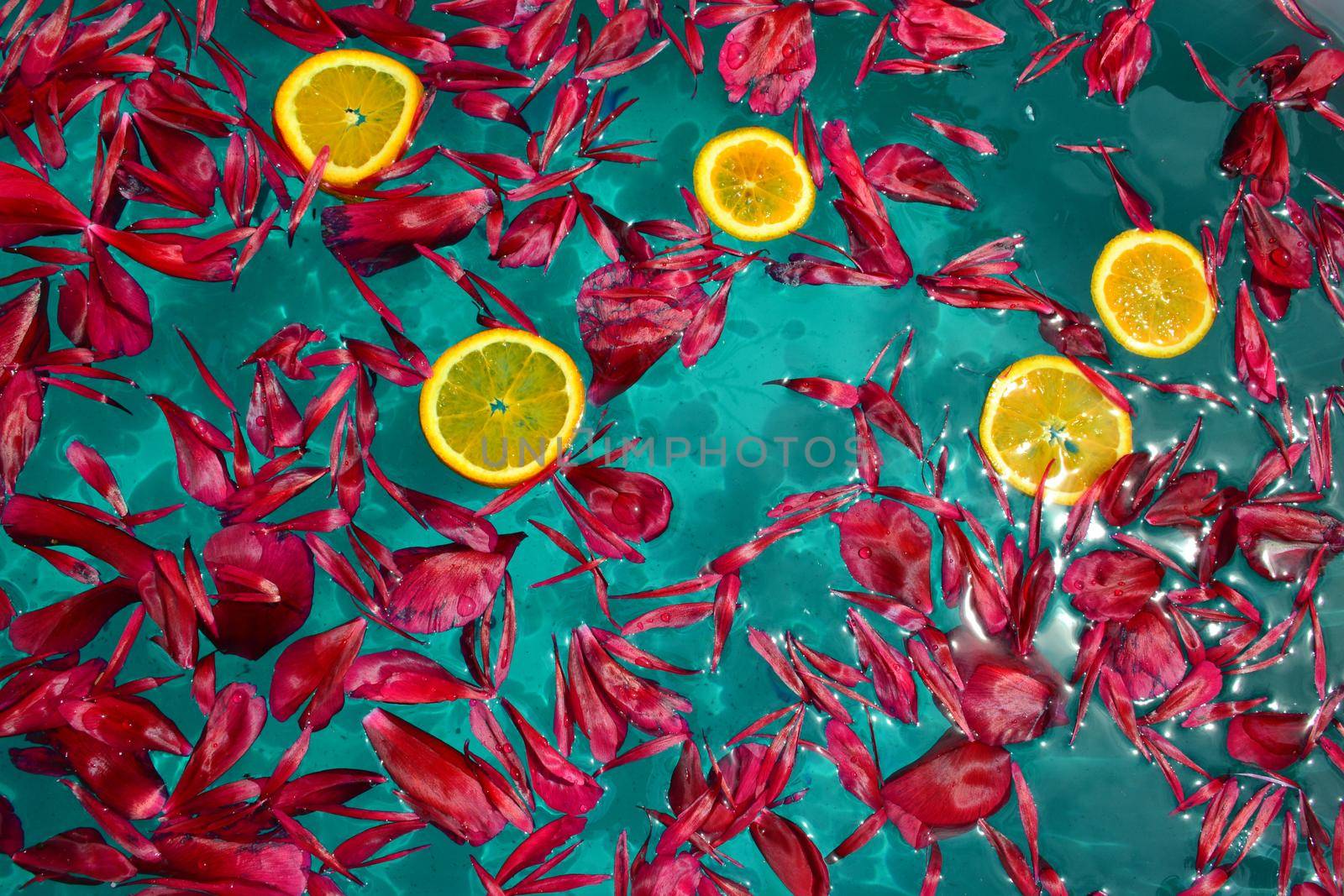 Red peony petals and orange slices on the water