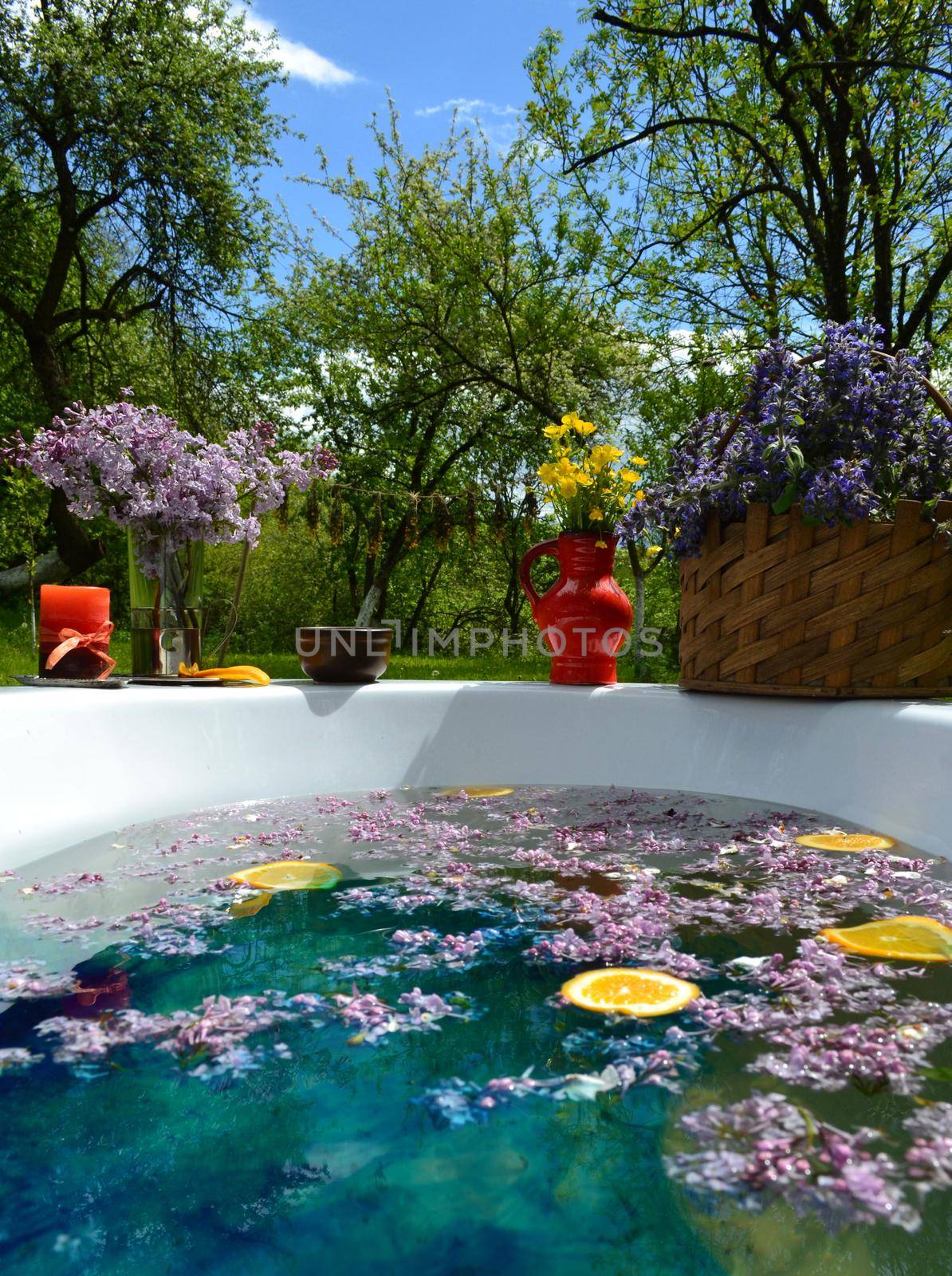 Lilac flowers and orange slice in a bathtub in a garden by hibrida13