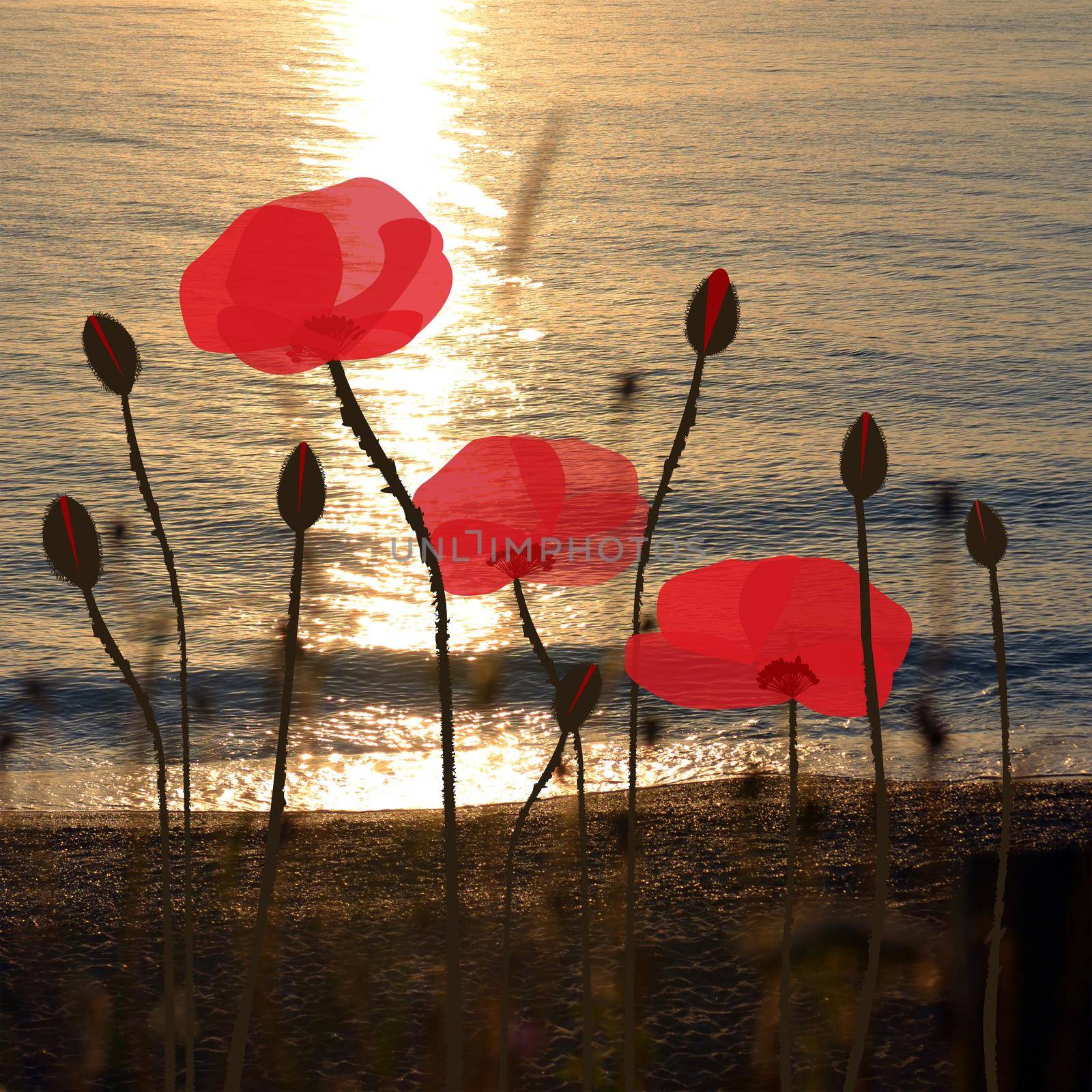 Hand drawn poppies on the background of a beach at sunrise time