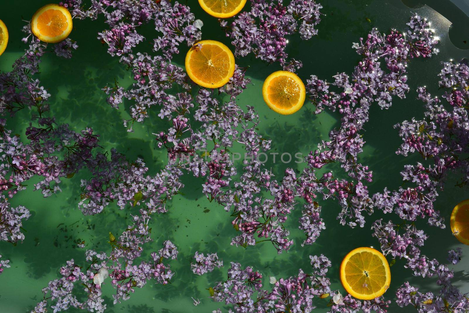 Abstract background with lilacs flowers and orange slices in a green water