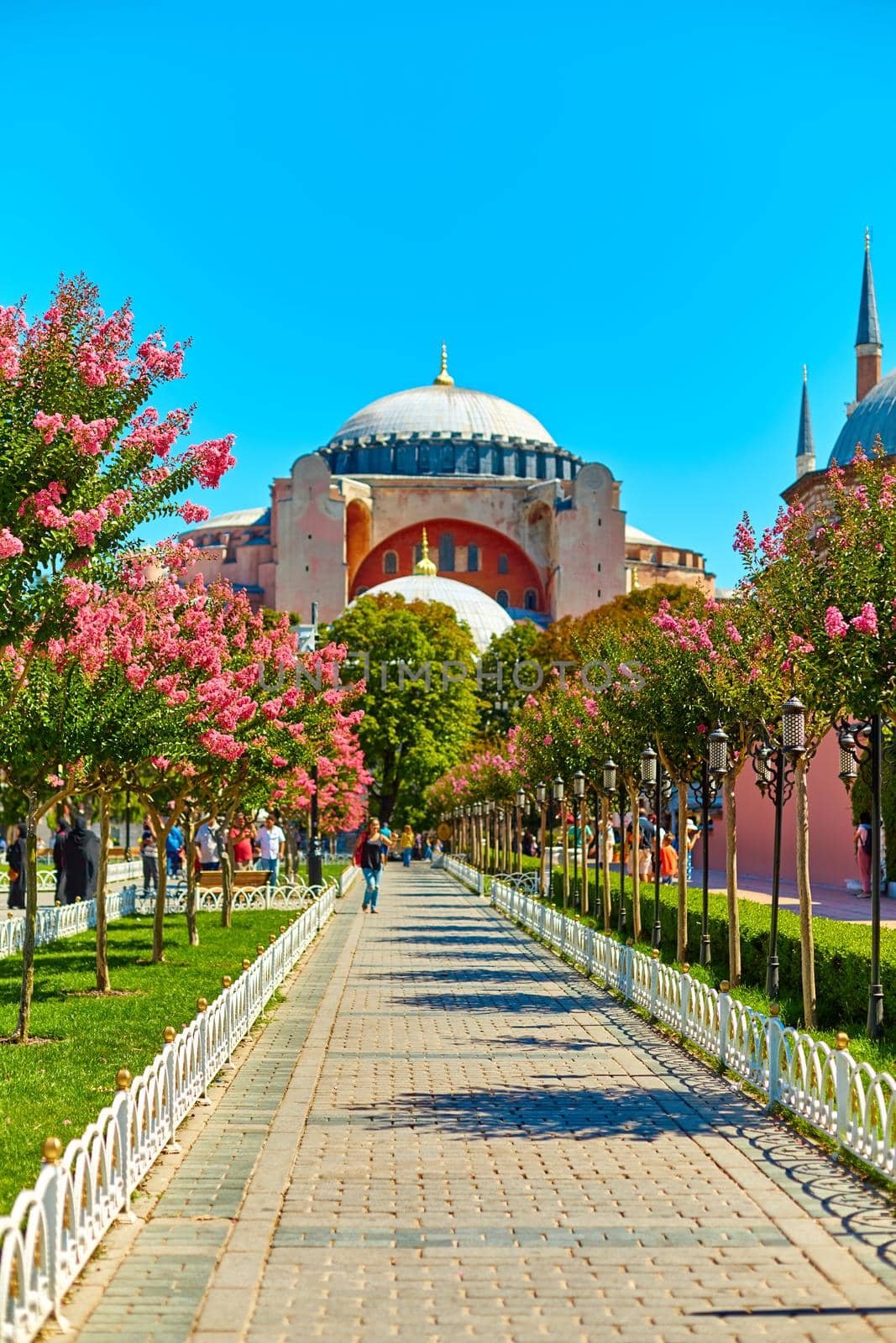 Sophia Mosque in Istanbul. A beautiful park with flowering trees. Warm summer day. Istanbul, Turkey - 28.07.2017