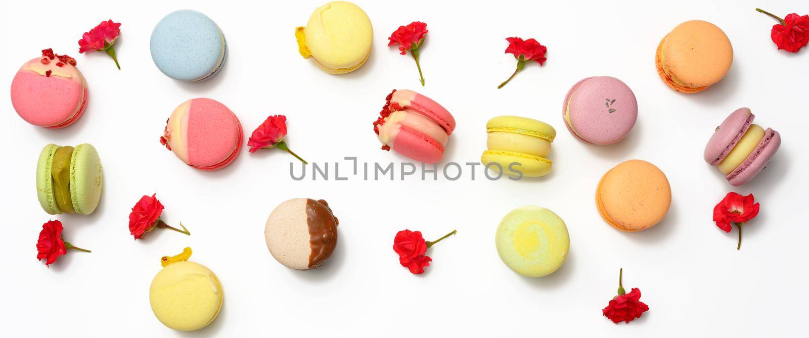 baked macarons with different flavors and rosebuds on a white background, top view