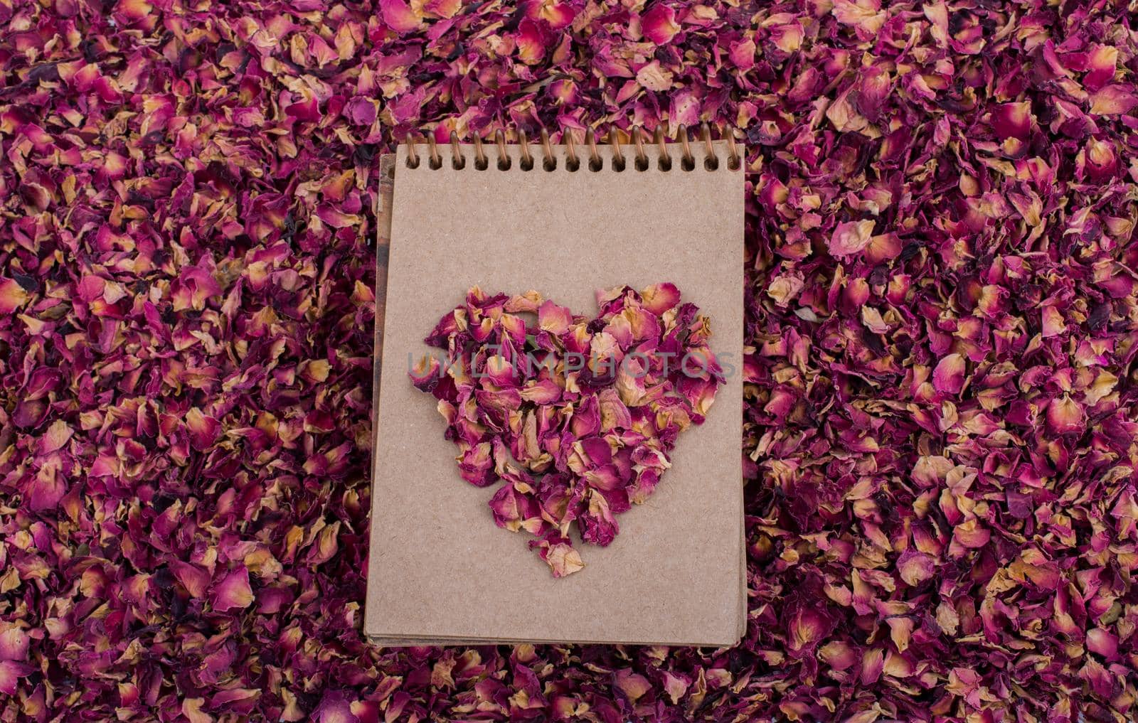 Dry petals form a heart shape  on a spiral notebook by berkay