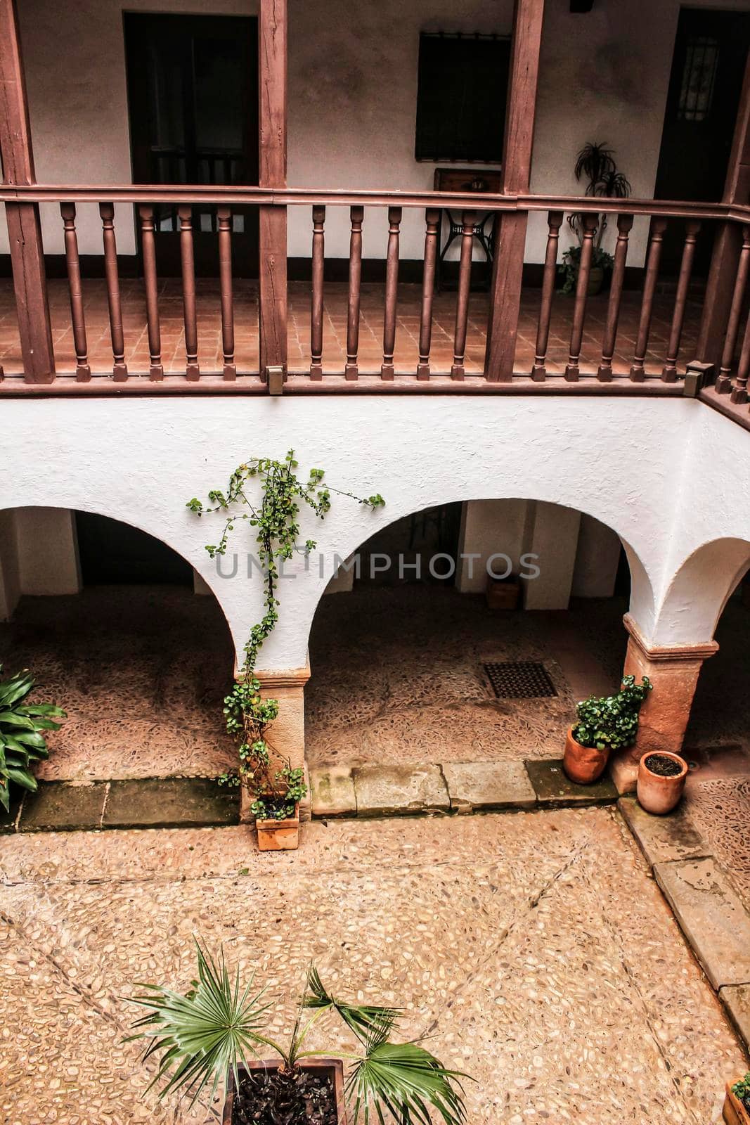 Courtyard of a typical house in Villanueva de los Infantes , Castilla la Mancha, Spain