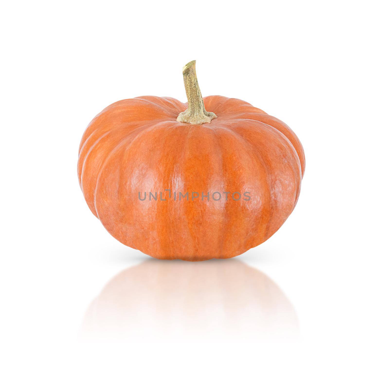 Orange pumpkin isolated on a white background with shadow and reflection.