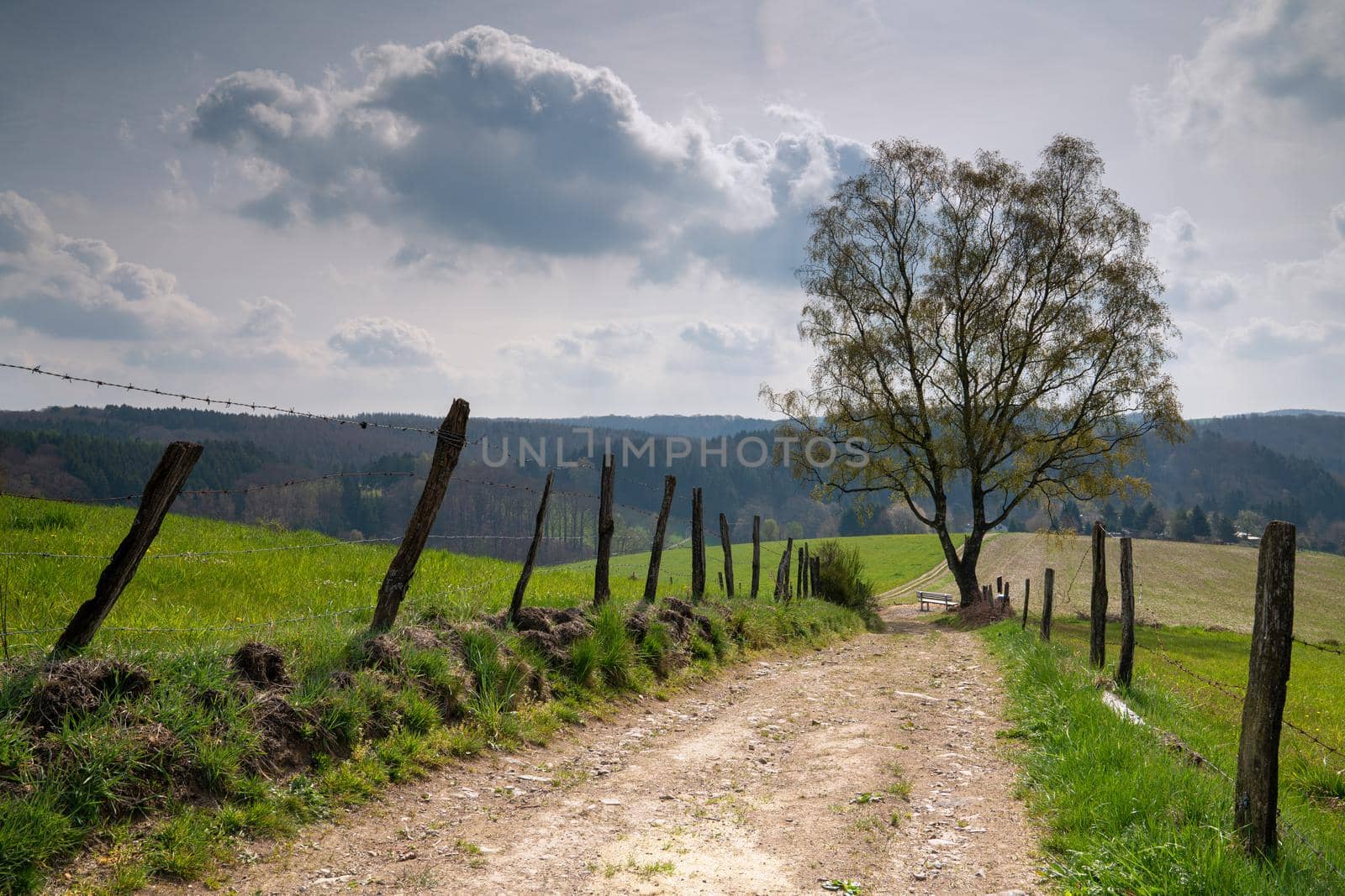 Panoramic landscape along the long distance hiking trail Bergischer Panoramasteig, Bergisches Land, Germany