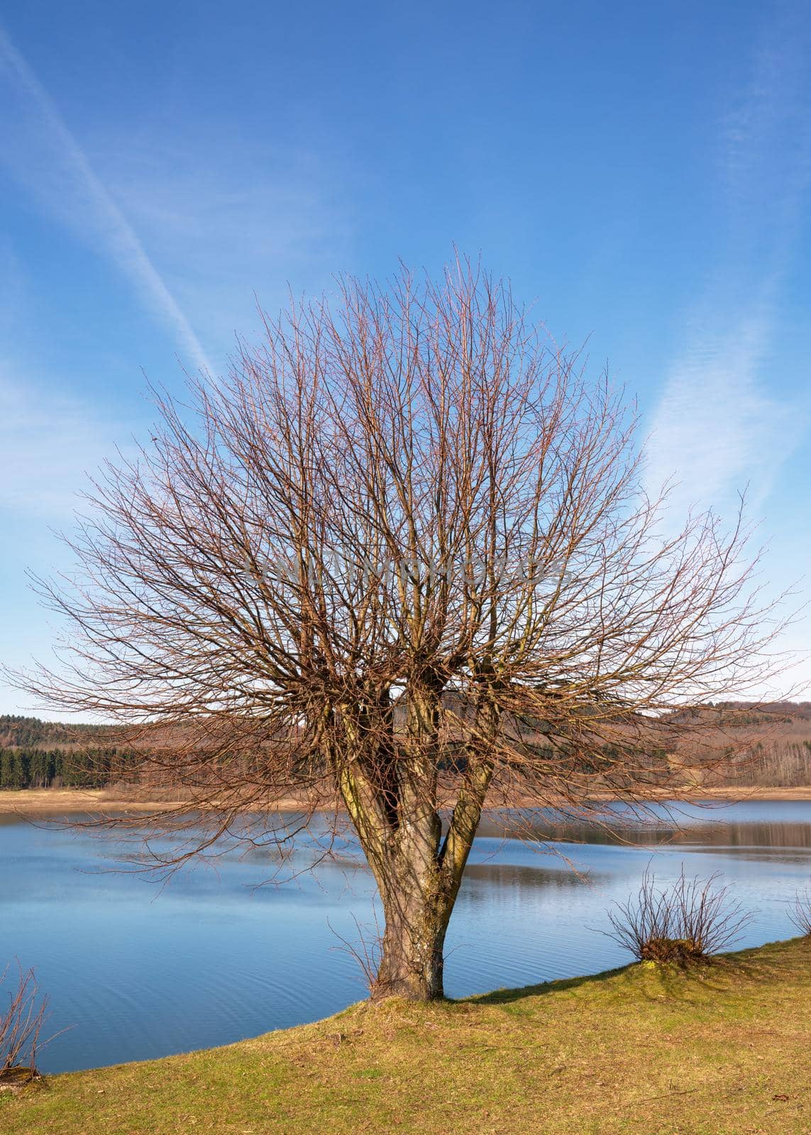 Dhunn water reservoir, Bergisches Land, Germany by alfotokunst