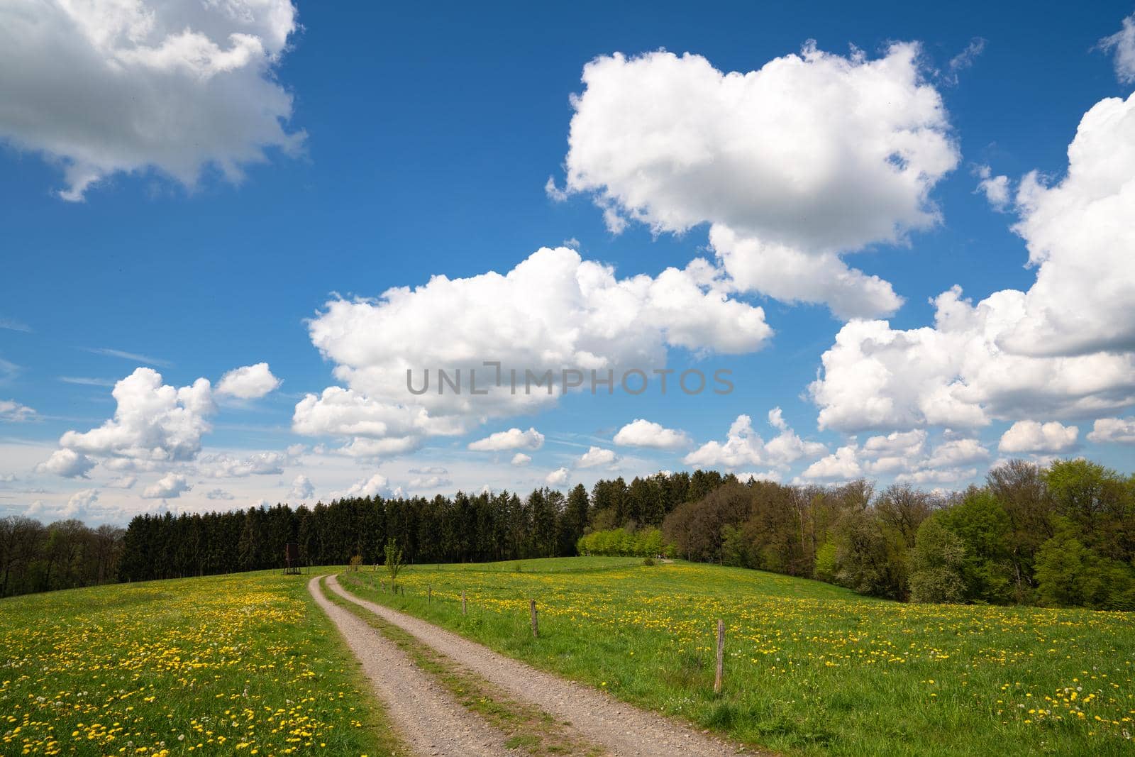 Panoramic landscape of hiking trail throught meadows with clouds and blue sky at springtime, Bergisches Land, Germany