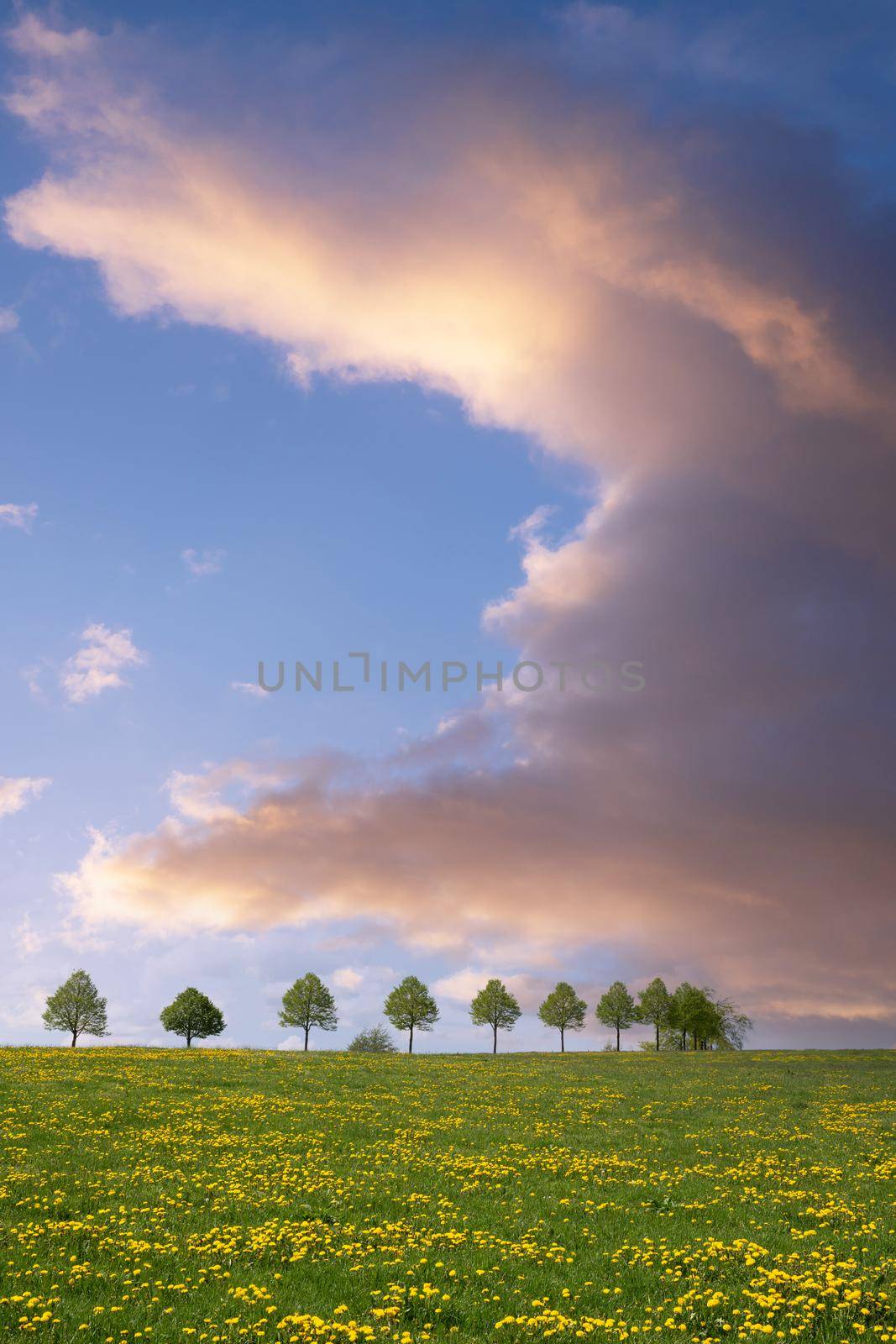 Panoramic landscape of meadow with clouds and blue sky at springtime, Bergisches Land, Germany