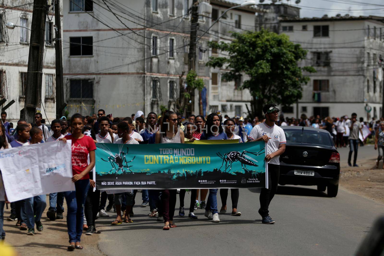 salvador, bahia, brazil - november 30, 2018: Students from the public school during a march in Salvador to raise awareness of the dangers of Aedes aegypti, a mosquito that causes dengue and zica.
