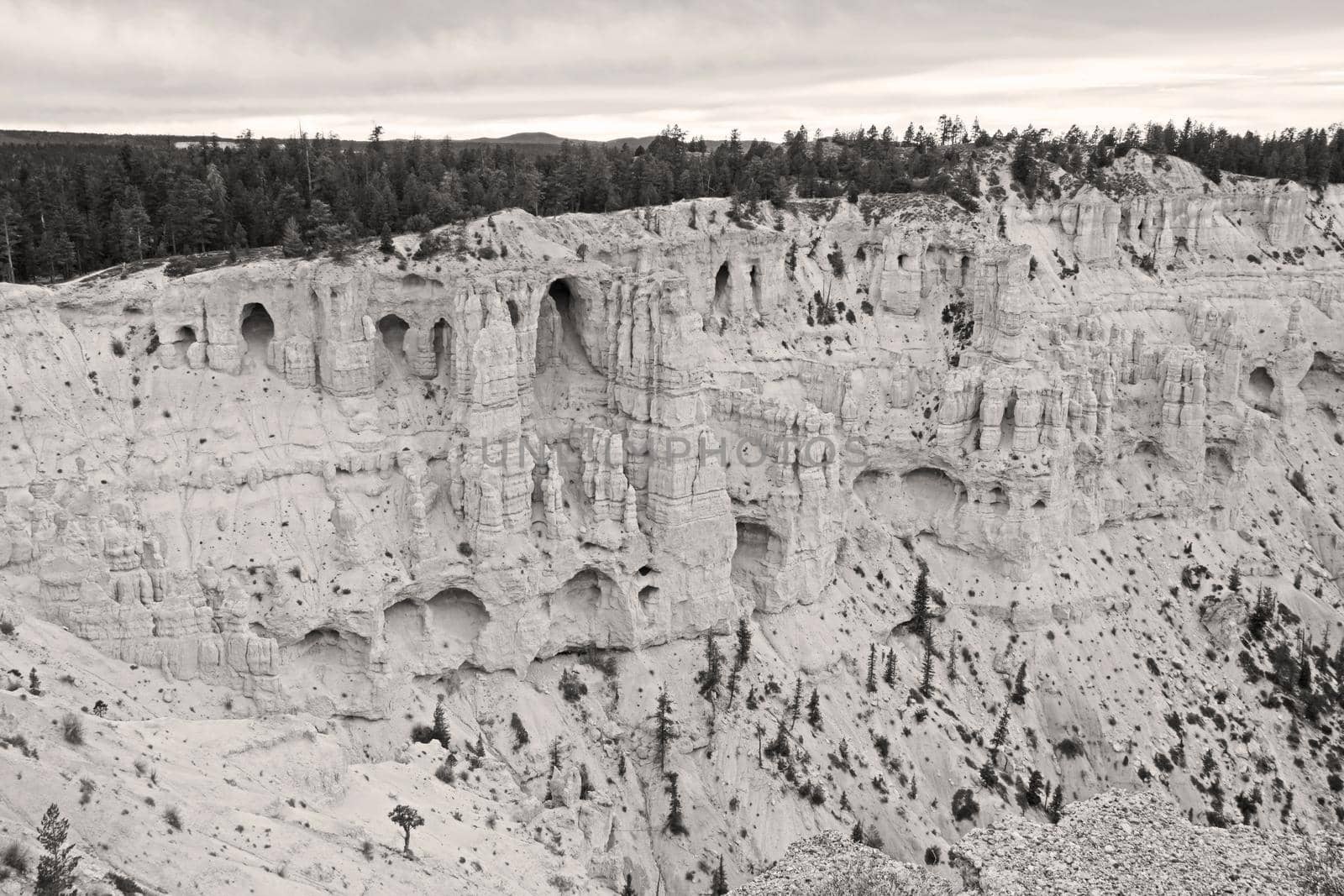 Monochrome view over Bryce Canyon from Bryce Point