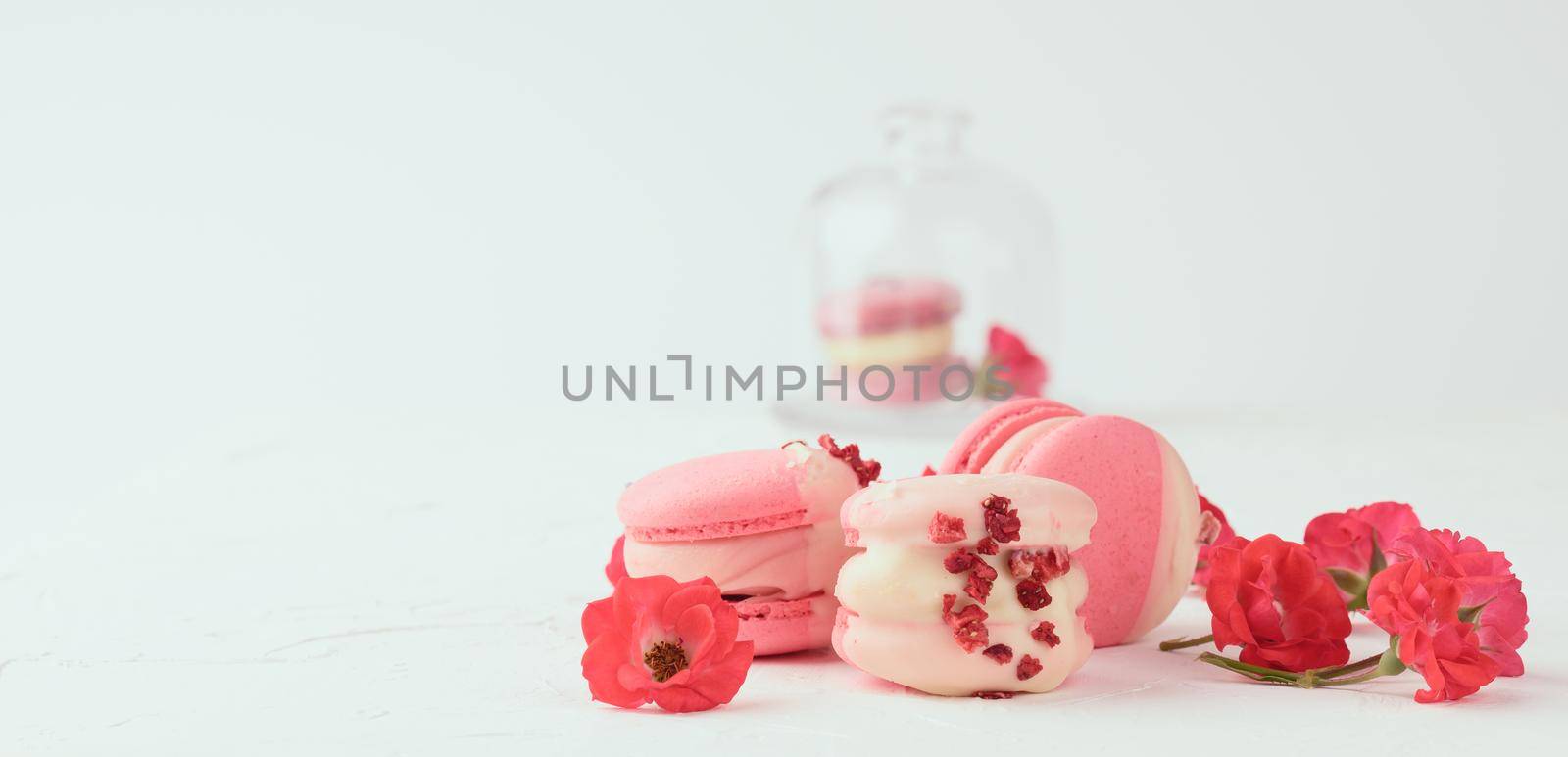 baked red strawberry macarons and rosebuds on a white table, gourmet almond flour dessert by ndanko