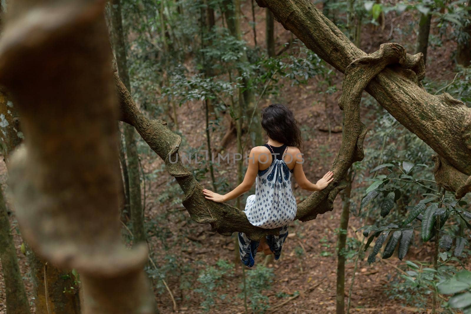 The girl sits on a huge liana tree branch in the jungle.