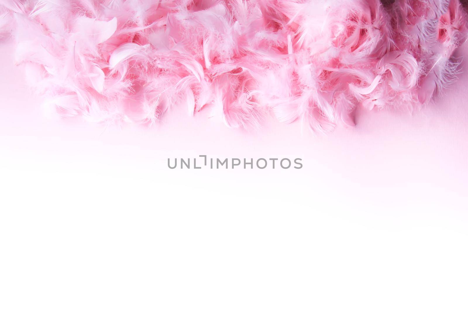 Easter composition with traditional decor. Pink soft feathers on light pastel background.