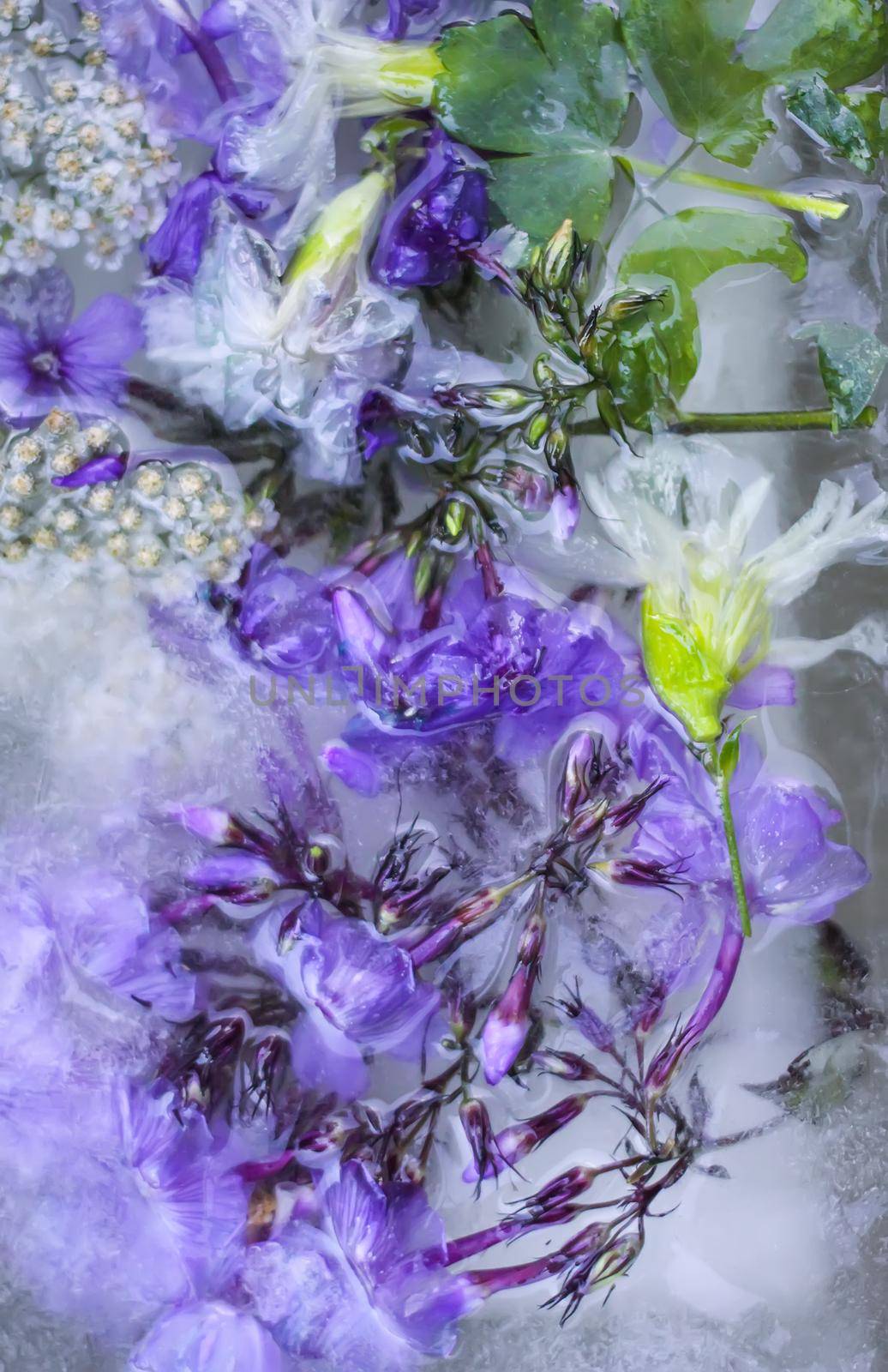 Ice cube with different summer flowers on green grass at summer.