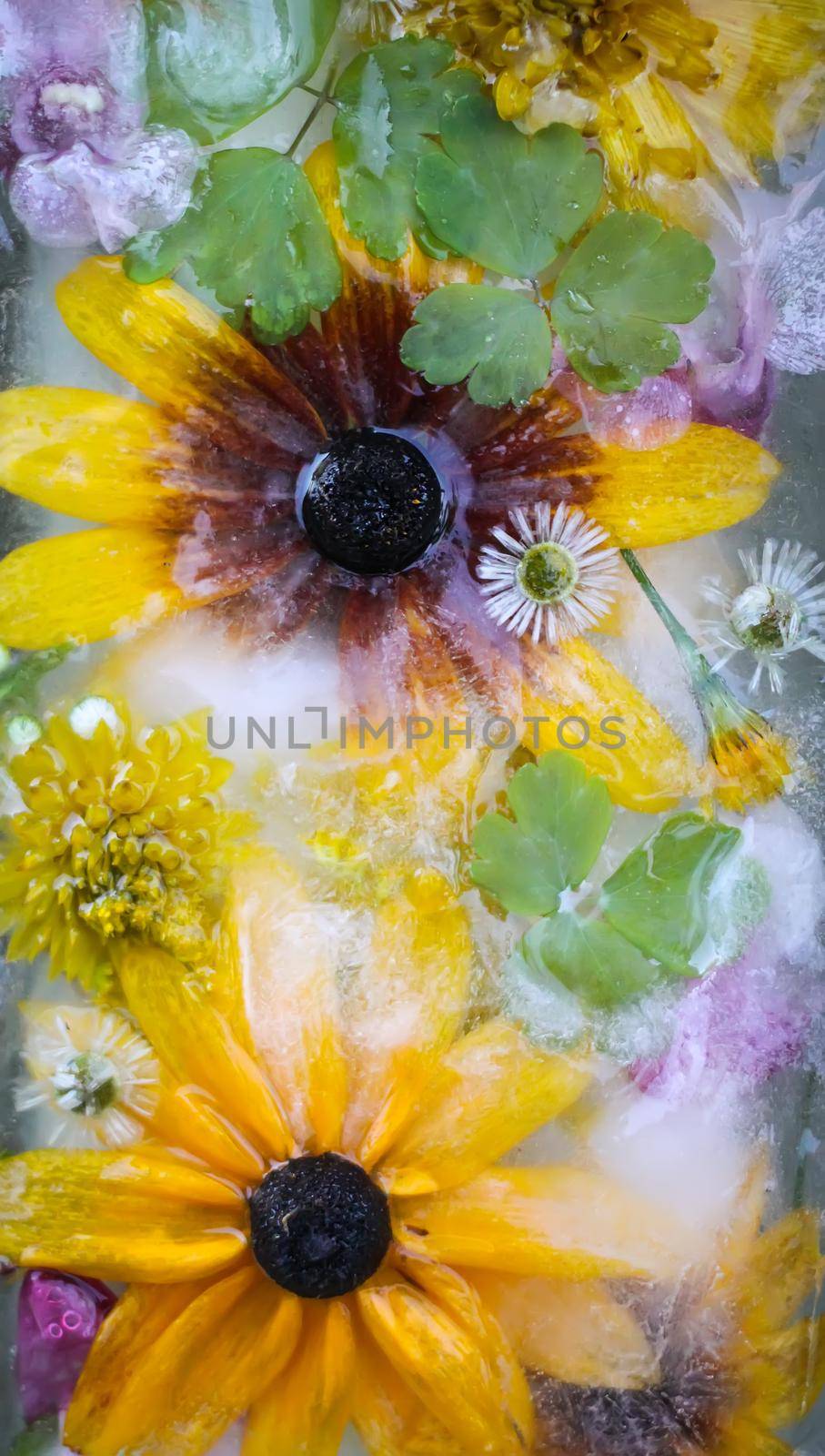 Ice cube with different summer flowers on green grass at summer.