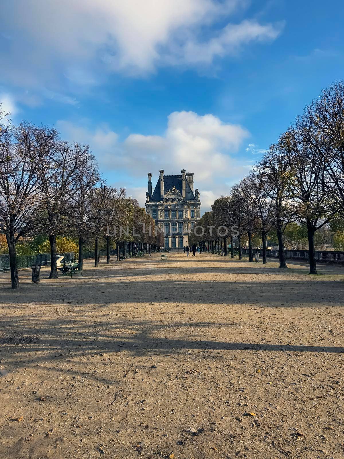 Avenue of trees in autumn leading to the Musee du Louvre in Paris France by kaliaevaen
