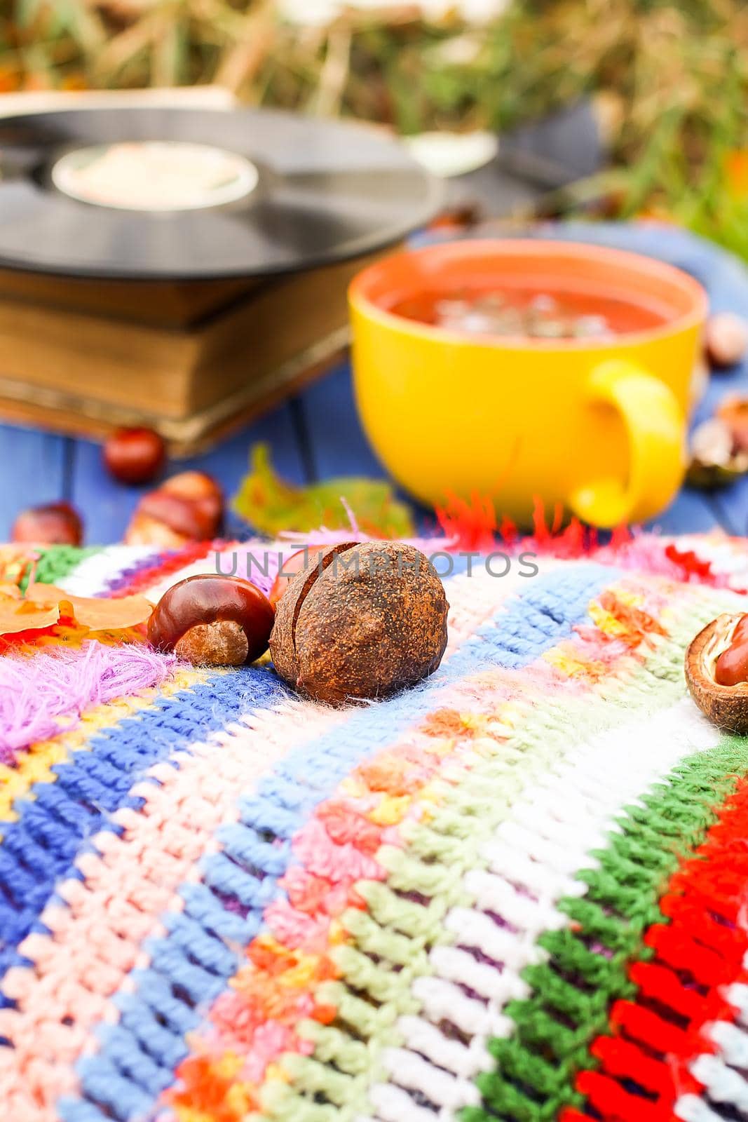 Autumn composition of yellow ceramic cup of herbal tea and vintage vinyl records on aged wooden background with bright handmade crocheted plaid, old book, fall autumn leaves and chestnuts.