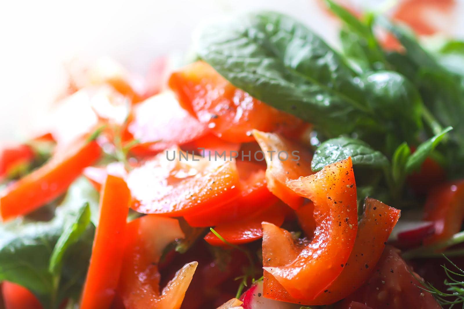 Fresh salad of the red tomatoes and spinach with olive oil, salt and pepper