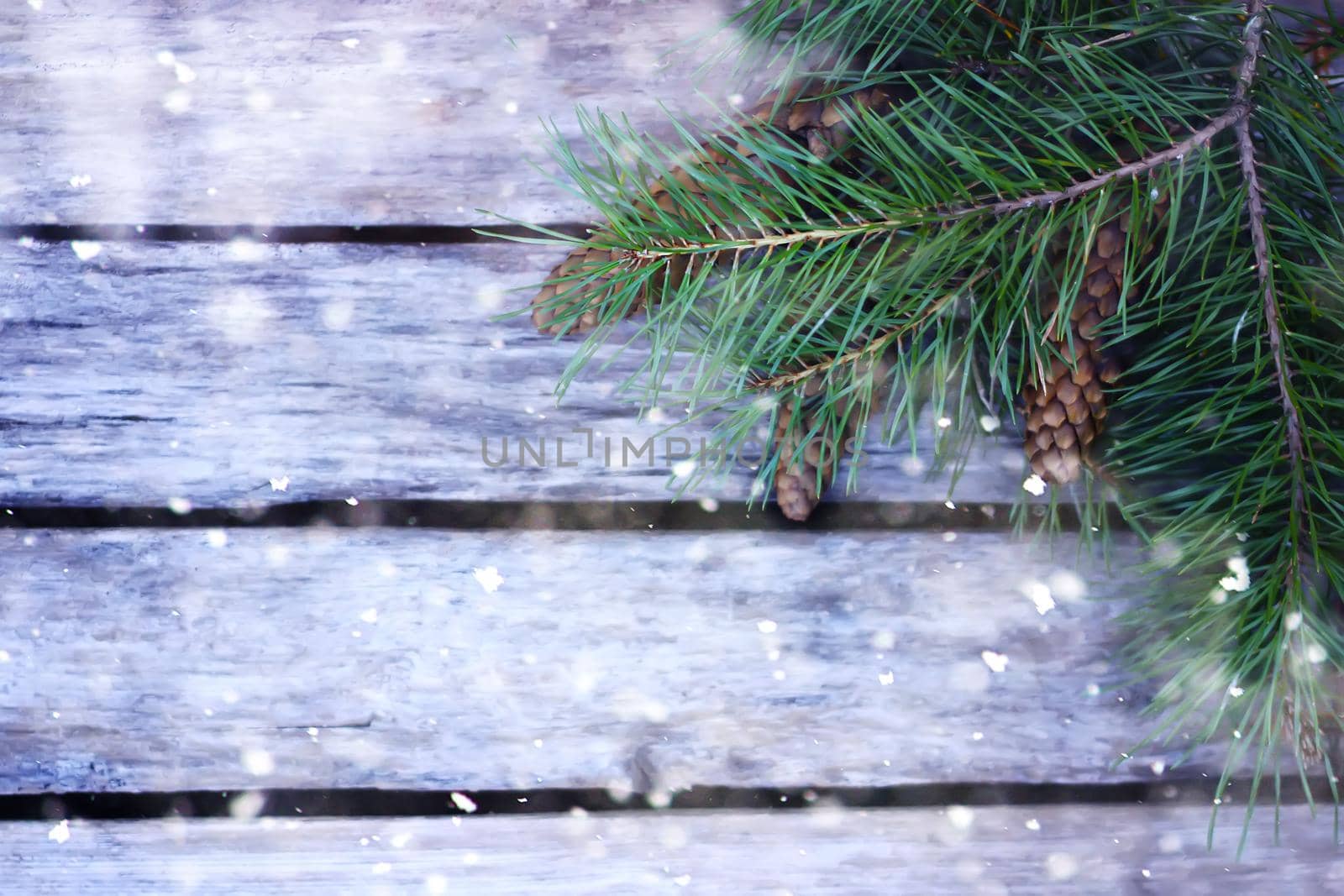 Background of wooden boards decorated with pine tree branches in snow.