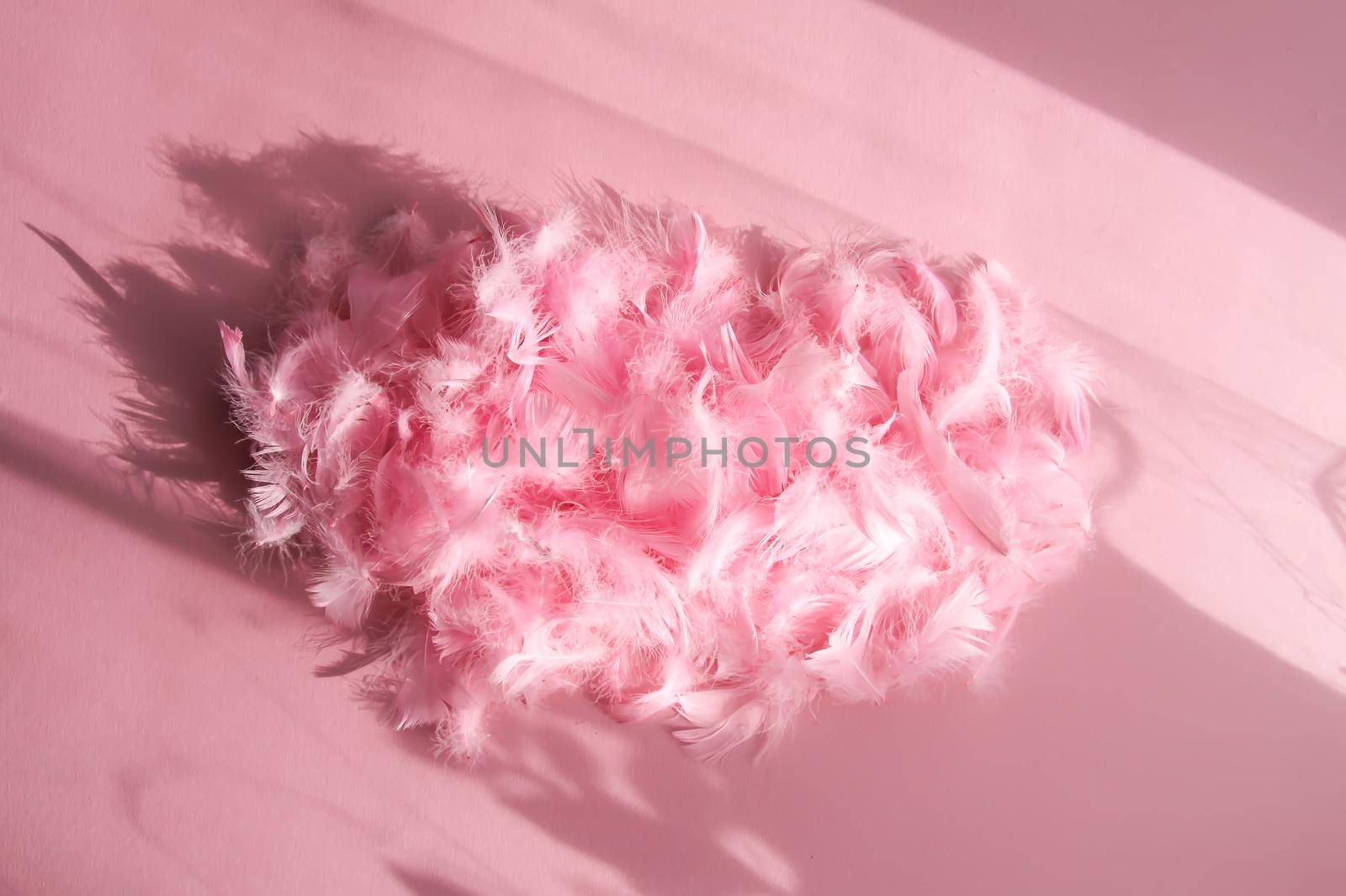 Easter composition with traditional decor. Pink soft feathers on light pastel background in sunlight