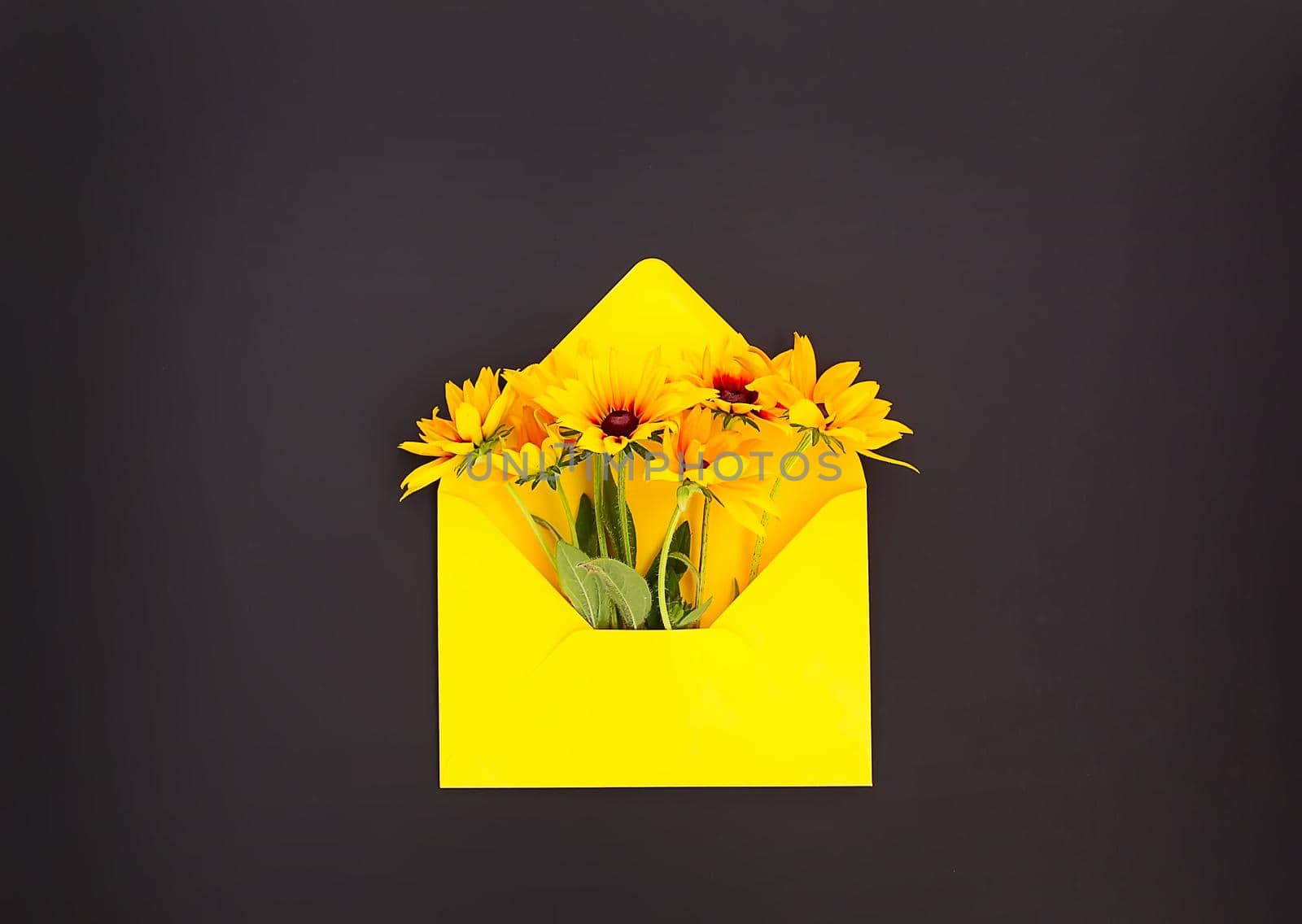 Yellow paper envelope with rudbeckia or black-eyed susan garden flowers on dark background. Festive floral template. Greeting card design. Top view.