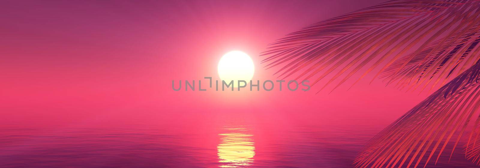 sunset sea palm landscape illustration by alex_nako