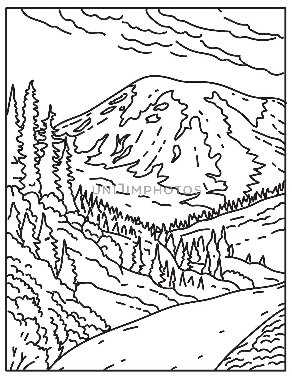 Mount Rainier in Mount Rainier National Park Located in Washington State United States Mono Line or Monoline Black and White Line Art by patrimonio