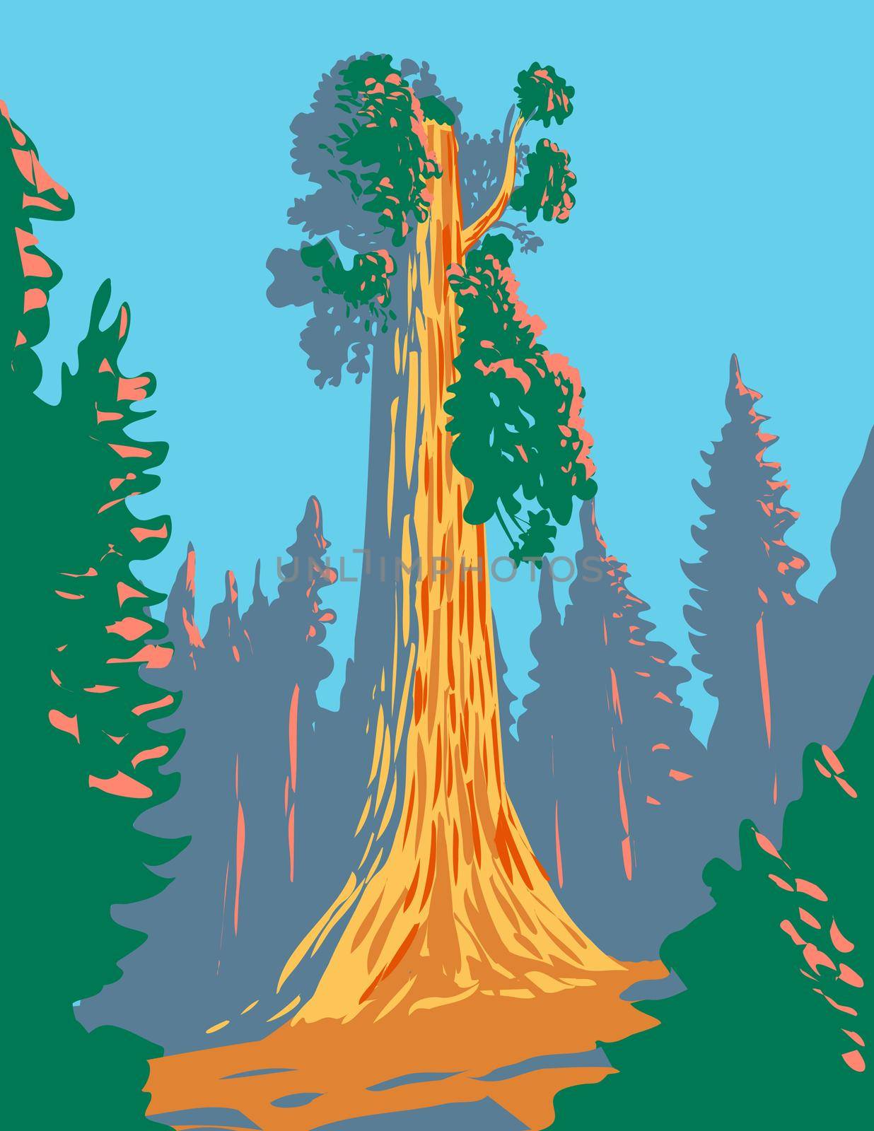 The General Grant Tree a Giant Sequoia in the General Grant Grove Section of Kings Canyon National Park in California WPA Poster Art by patrimonio
