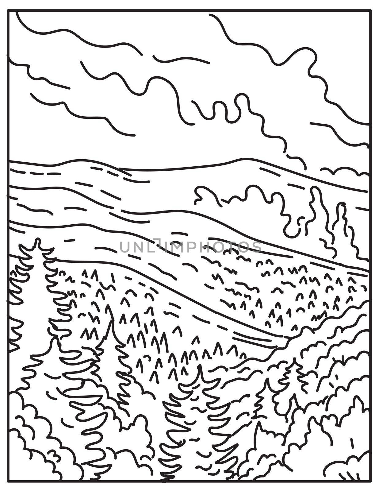 Mono line illustration of Great Smoky Mountains National Park between the border North Carolina and Tennessee, United States of America done in retro black and white monoline line art style.